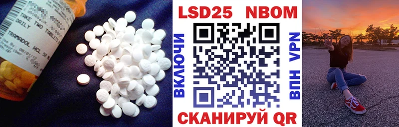 дарк нет как зайти  как найти закладки  Тайга  ЛСД экстази ecstasy 