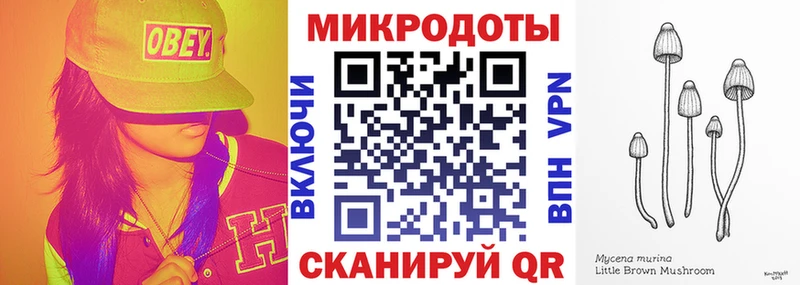 Псилоцибиновые грибы мицелий  МЕГА ТОР  Тайга 